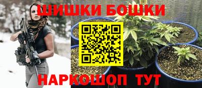 индика Кулебаки