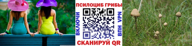 Псилоцибиновые грибы Cubensis  как найти закладки  Лесозаводск 