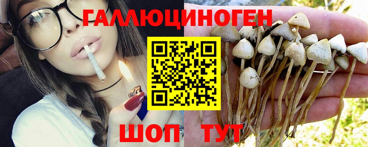 Лесозаводск  Псилоцибиновые грибы ЛСД  Вход с VPN  Галлюциногенные грибы мухоморы 